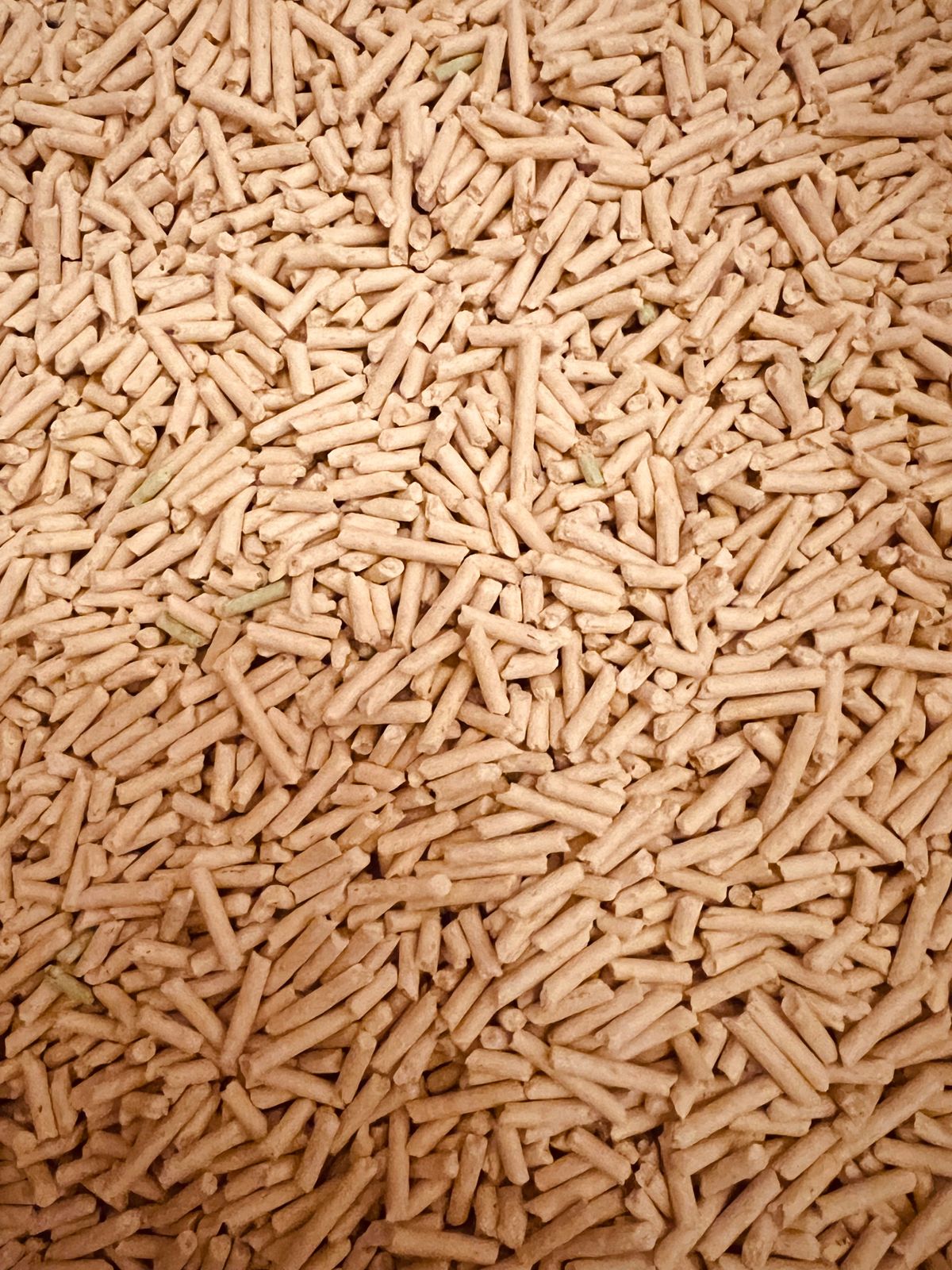 Pellet di legno